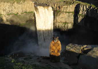 Palouse Falls Guard