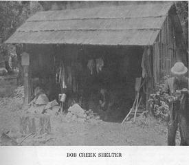 Bob Creek Shelter, Queets River (Lyle Cowles)