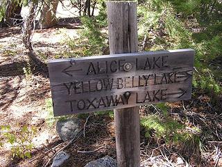 Trail divide at Pettit - we are heading to Alice Lake