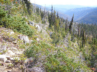 Todd coming up steep slope