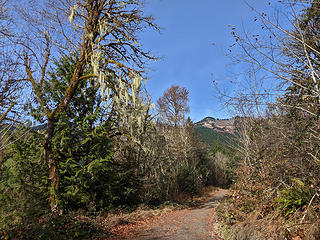 Heading up the Bessemer Road