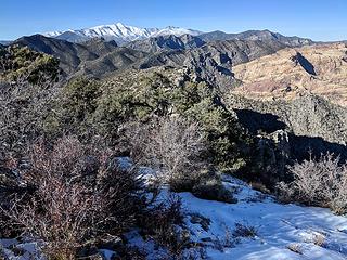 21. Charleston Peak in the distance