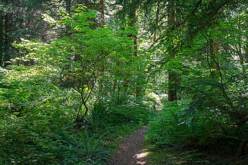 East Fork Foss River Trail