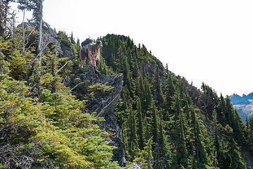 Leland checks out whether we need to go over the rock or below it, and spots a ledge below