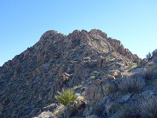 fine scrambling N Ridge of South Wilson