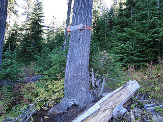 Trail sign after a semi bushwhack.