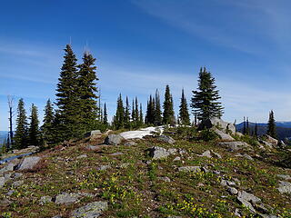 The actual highpoint of Salmo Mtn is a short distance from the lookout, 6880.'