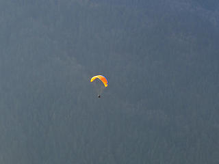 Paraglider Aloft