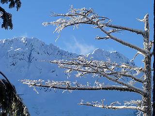 Pilchuck and tree