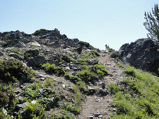 Trail up final bit to actual Crystal Peak summit.