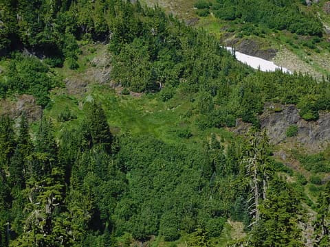 lower brushy slopes, goat path visible