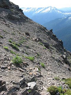 animal trail traversing at 7200'