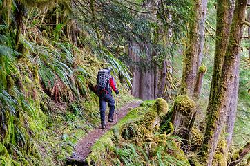 trekking along