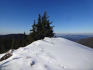 Grandmother Mtn summit, 6369.'