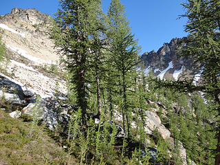 Pretty basin below Tupshin