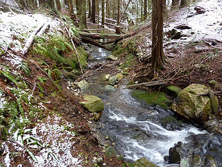 Creek from Lily Lake