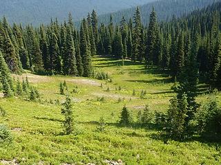 Meadows below Jim Pk