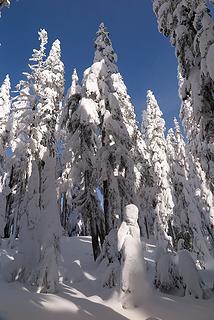 Snow Angel