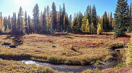 yet another pretty meadow along they pyramid mountain trail