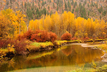 Entiat Autumn