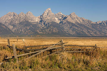 Tetons above Fence