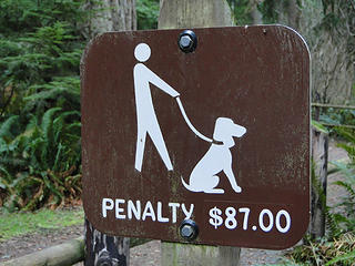 I guess walking your dog on a leash is an $87 fine so this must be an off leash area.