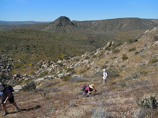 Climbing up the slope from the Temple Pk. trail