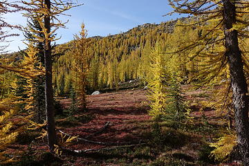 Peepsight bench @ 7,100 ft.