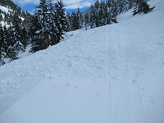 recent avy path over the nordic trail below Olallie Mtn