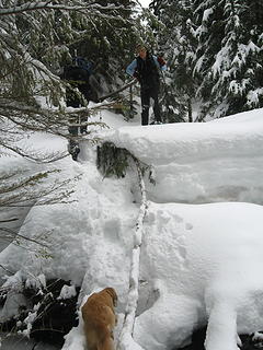 Suzanne coaching Gusto on a tricky creek crossing.