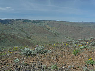 Wide open country