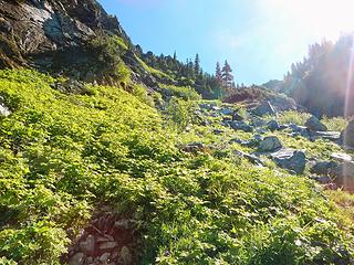 below the talus slope