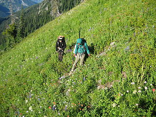 the boys traversing the meadows