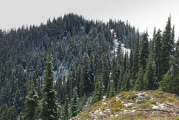 Polallie Ridge summit