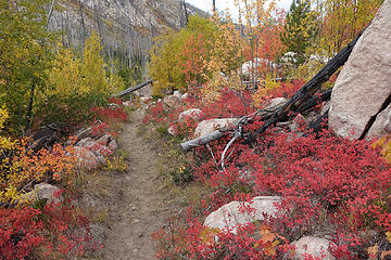 Lower Andrews creek trail