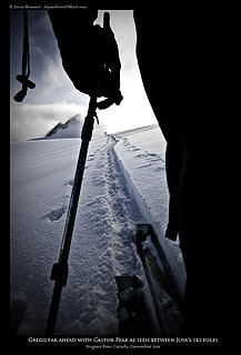 A ski pole perspective