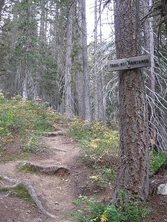 Leroy Creek "trail not maintained"