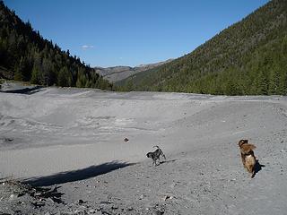 old mining pit near Slate Creek in White Cloud Mtns