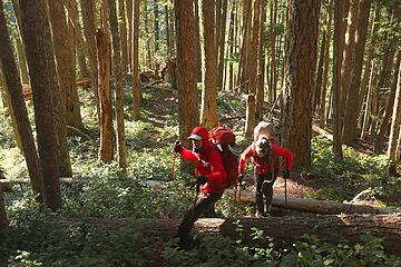 a very green forested ridge