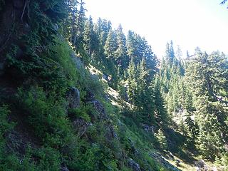 steep heather and minor cliffs on the northeast face