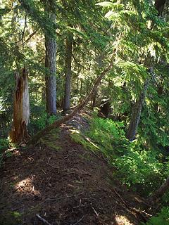 cool ridge with defined edge and steepish dropoffs