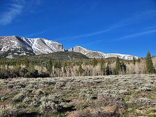 First views from the Lehman Creek Trail: Jeff Davis and Wheeler