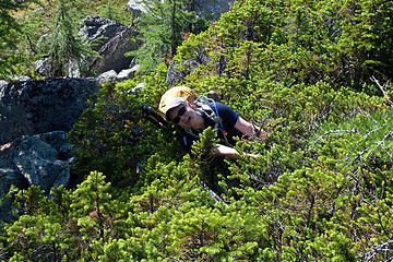 Karen: "Have you ever hiked through krummholz before?" Ingunn: "I hate you."