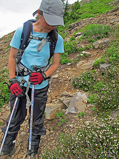 Kazuyo looks at the heather in flower by the steep trail down Red Mountain.