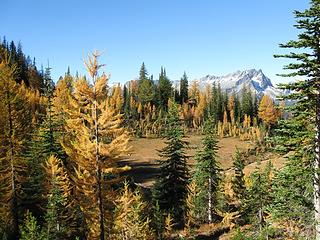 Carne Basin with Buck Mountain in the distance