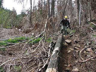 Loose dirt in the burn