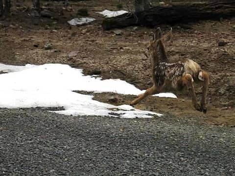 I could almost reach out and touch them as they sped past.