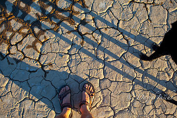 Sunset on cracked mud.