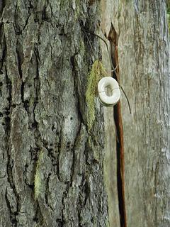 some of those telegraph line insulators