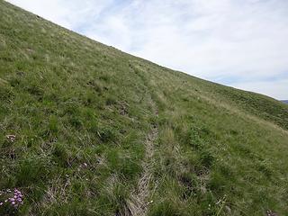 Walking the trail. It seemed too good to be a game trail and was flagged in places.